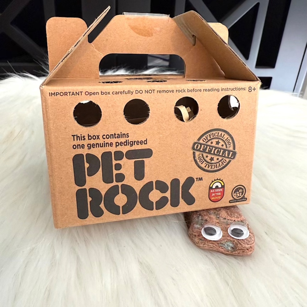 Classic Original Pet Rock (NWT/NIB) - Picture 2 of 7